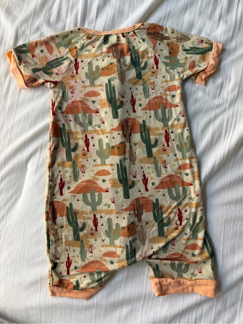 Desert Cactus Short-Sleeve Baby One-Piece in Peach & Green